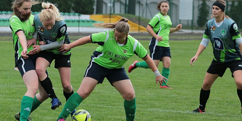 2L: Kotwica Kórnik - Mustang 5:0 (foto)