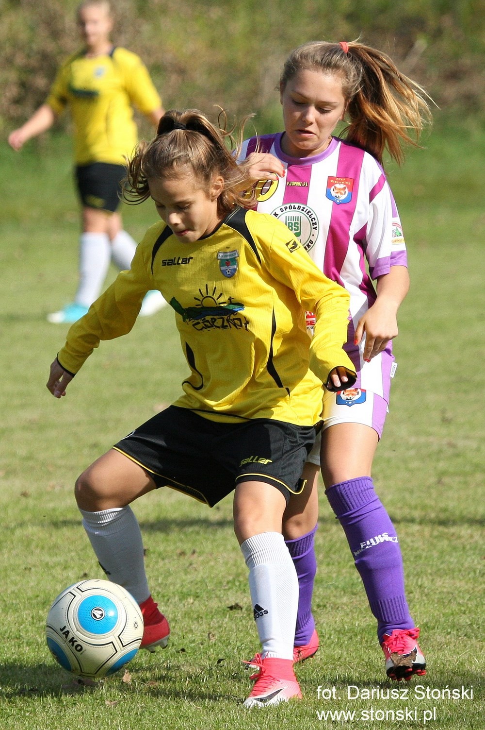 Fuks Wielowicz - Unifreeze II Górzno