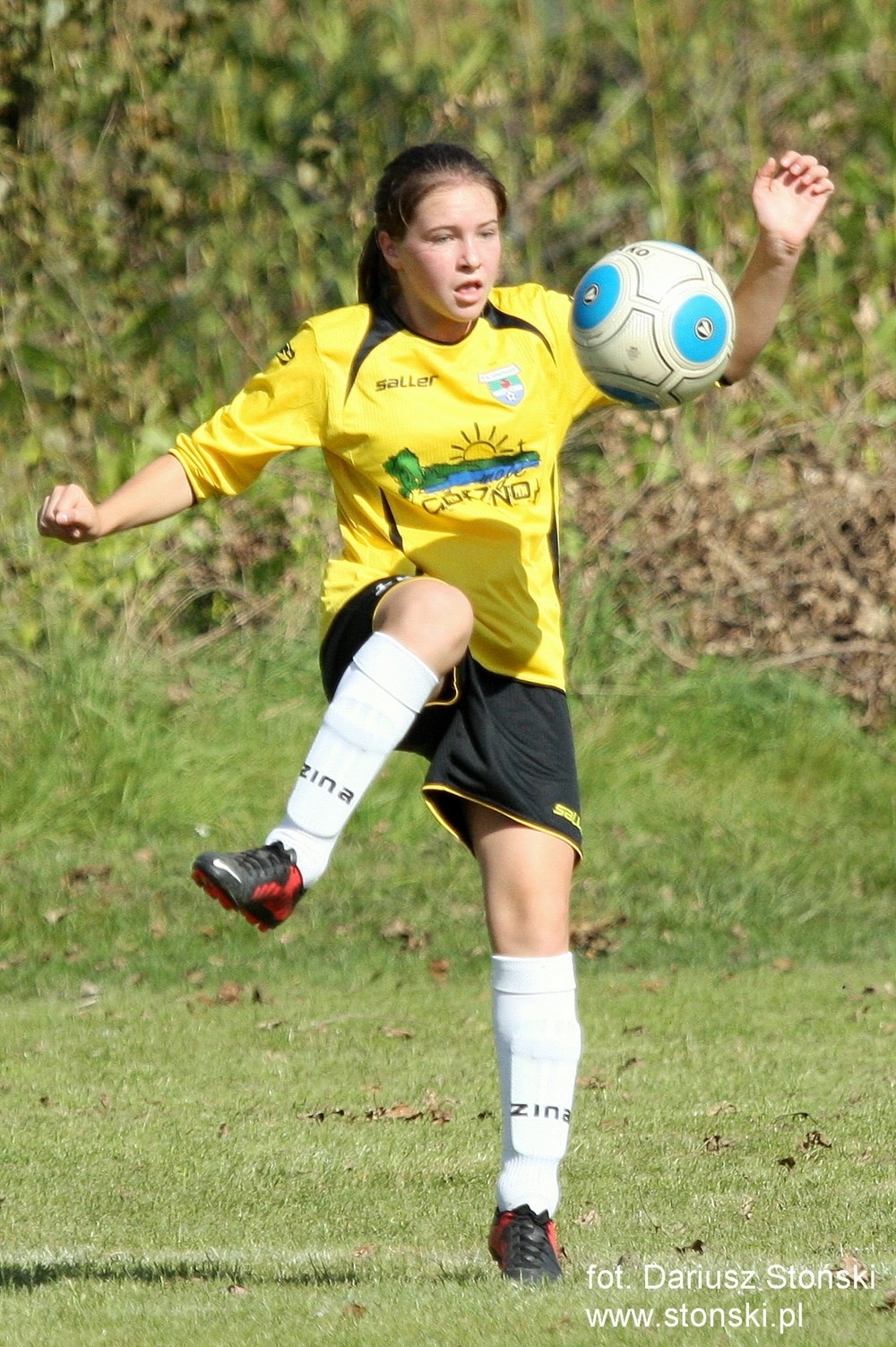 Fuks Wielowicz - Unifreeze II Górzno