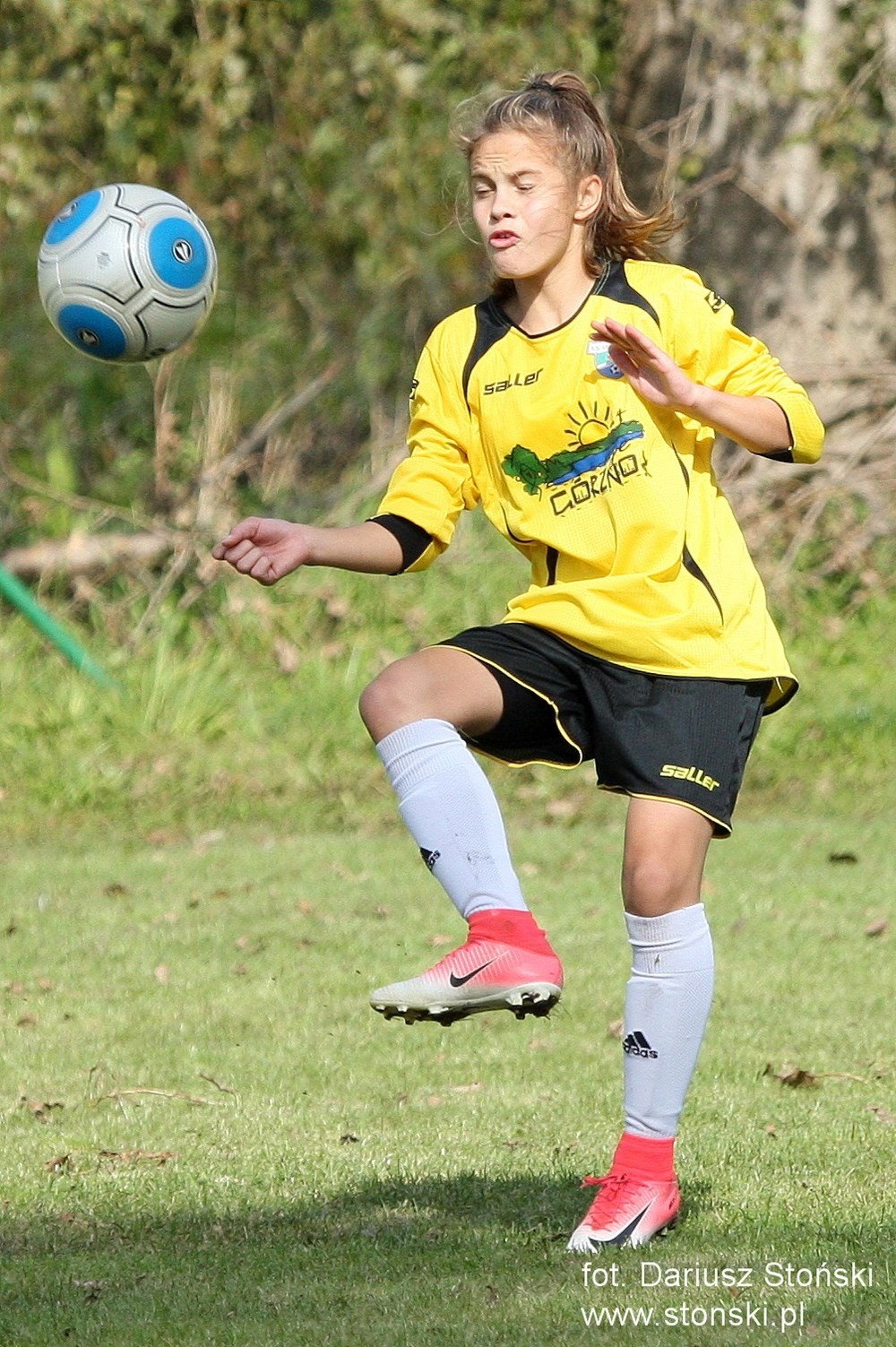 Fuks Wielowicz - Unifreeze II Górzno