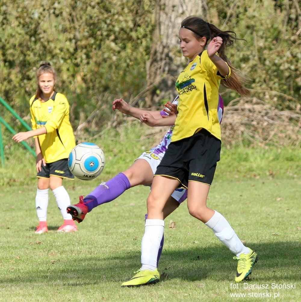 Fuks Wielowicz - Unifreeze II Górzno