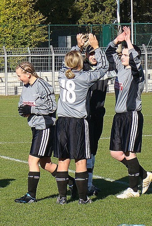 Bogdanczowice Rolnik