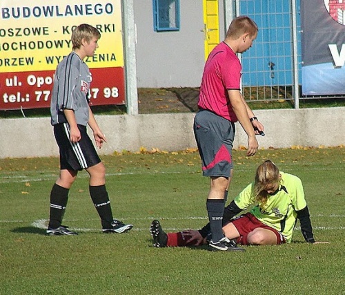 Bogdanczowice Rolnik