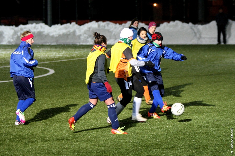 Tucholanka - Sokół