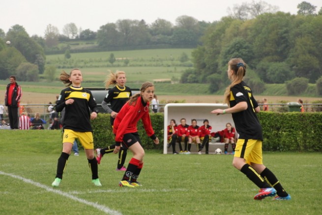 Ząbkovia w Holandii