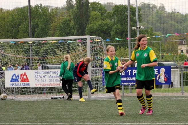 Ząbkovia w Holandii