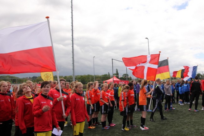 Ząbkovia w Holandii