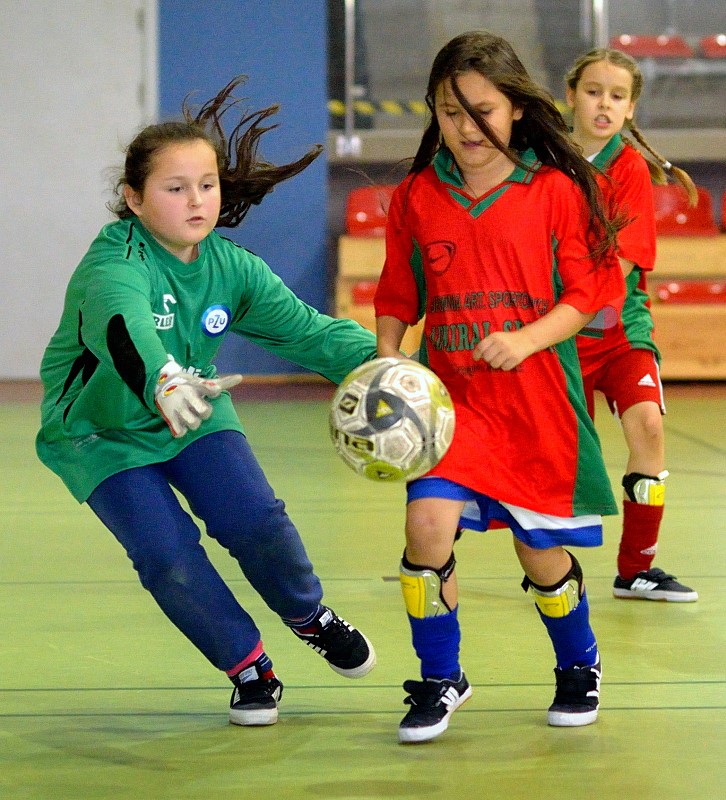 Bałtycka Liga Orliczek